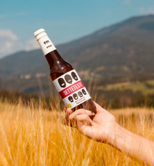 Birra Artigianale Biologica Setteteste 33/75 cl