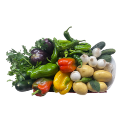 Box ortaggi - Terramia