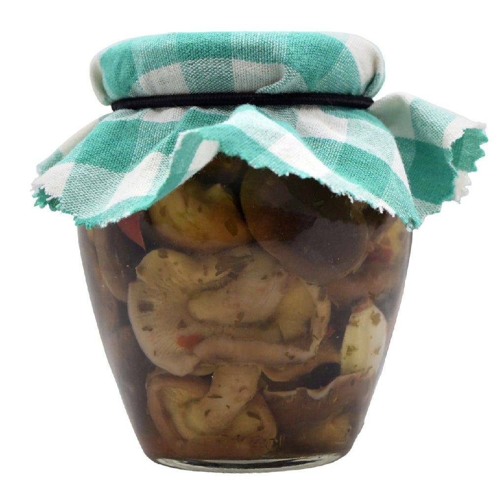 Fungo Cardoncello Sott'olio - Terramia