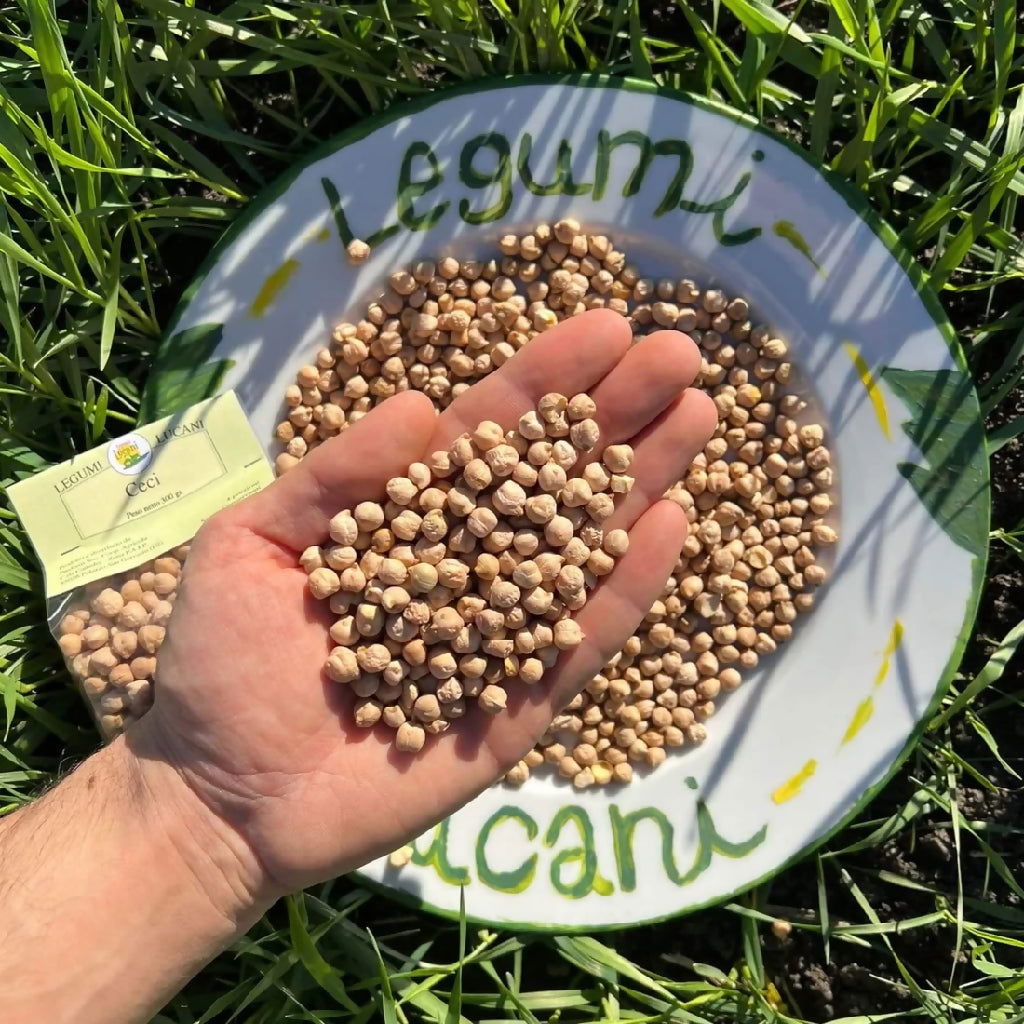 Legumi Lucani ceci grandi secchi - Terramia