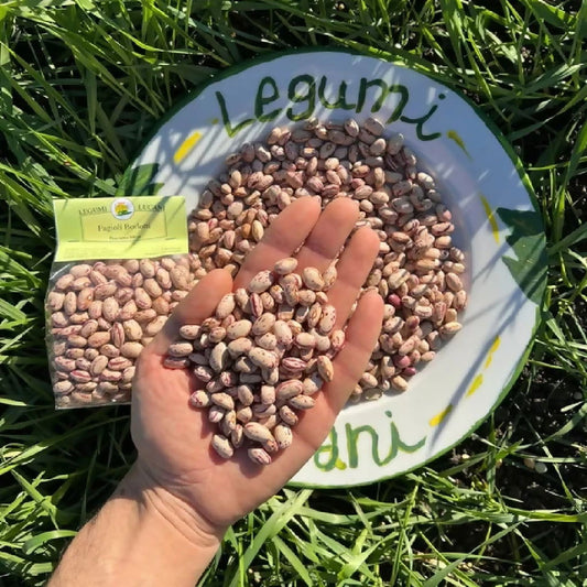 Legumi lucani fagioli borlotti - Terramia