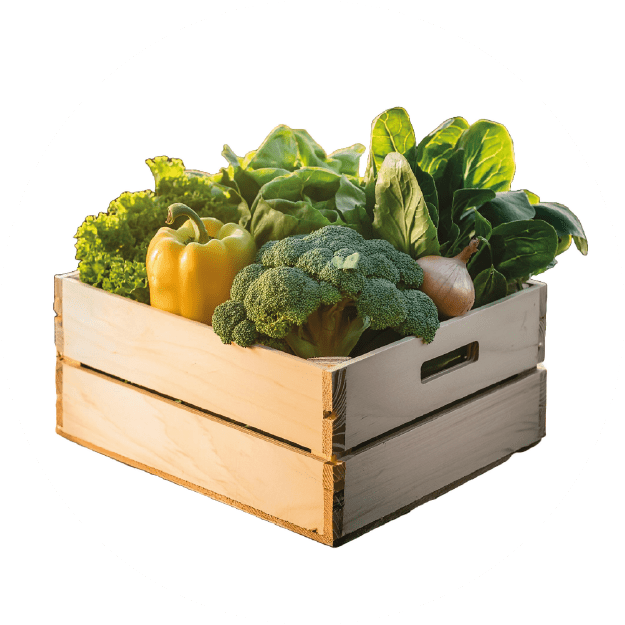 Box Ortaggi - Terramia