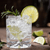 Gin Artigianali Italiani - Terramia