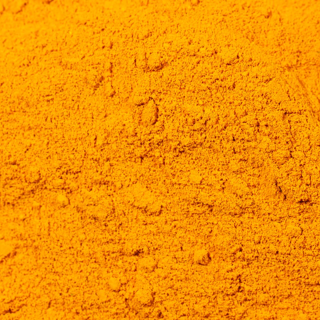 100% Curcuma in polvere BIO - 100g - Terramia