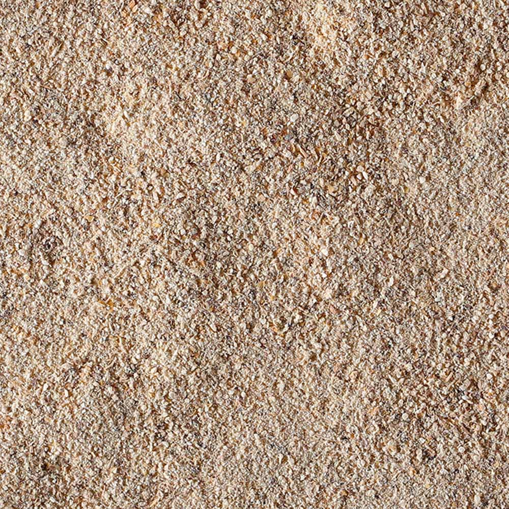 100% Fungo Lion's Mane in polvere BIO - 100g - Terramia