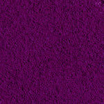 100% Ribes Nero liofilizzato in polvere BIO - 100g - Terramia