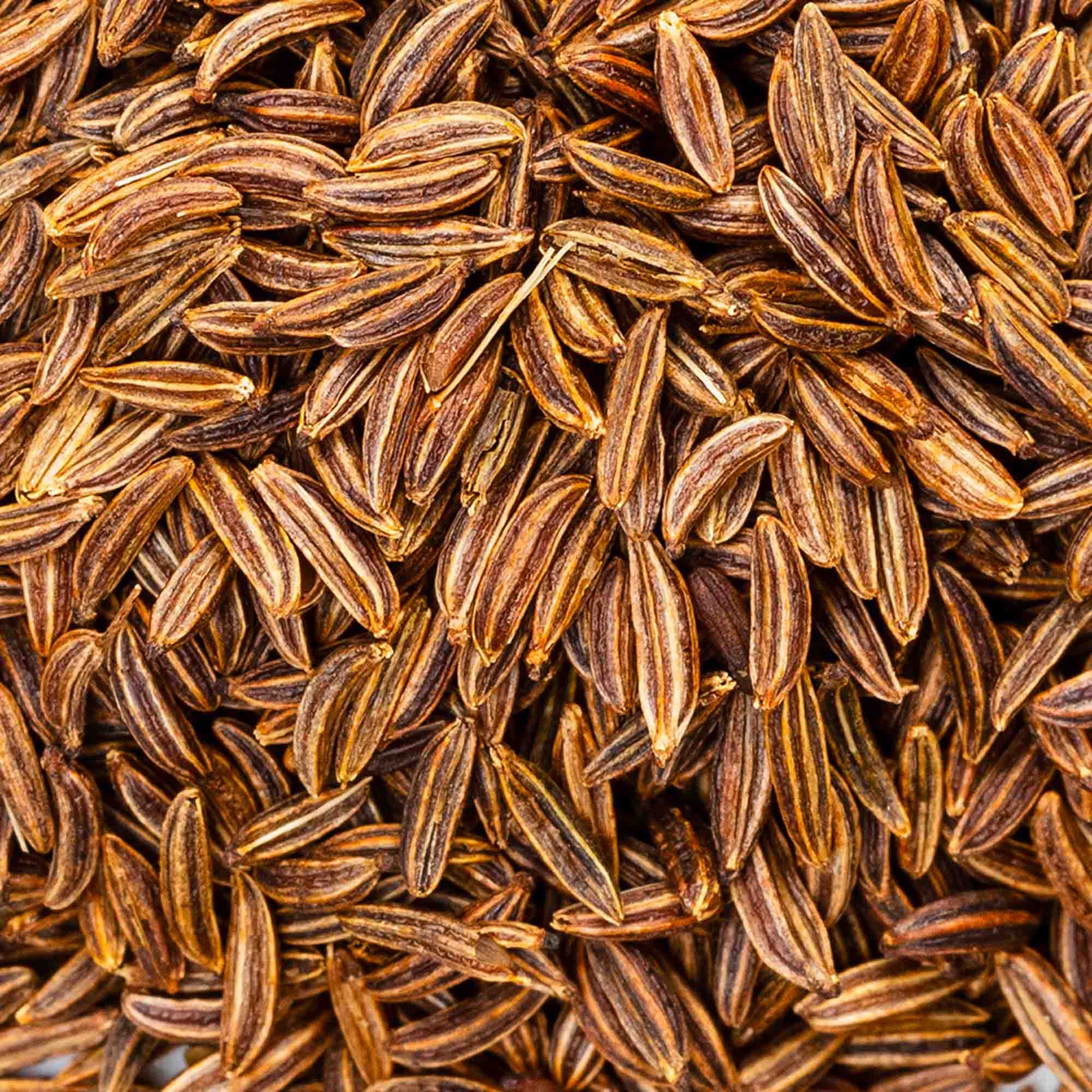 100% Semi di Cumino interi BIO - 100g Ideale per insaporire - Terramia