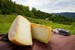 Canestrato del Pollino