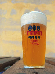 Birra Artigianale Biologica Setteteste 33/75 cl