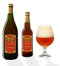 CAESAR BELGIAN AMBRATA 33 CL - Terramia