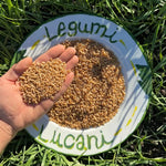 Legumi Lucani Grano Duro Integrale