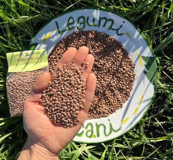 Lucanian Legumes Red Lentils (small)