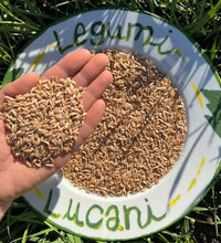 Legumi Lucani Farro Integrale - Terramia