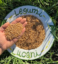 Legumi Lucani Grano Duro Integrale - Terramia