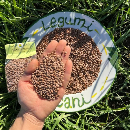 Legumi Lucani Lenticchie Rosse (piccole) - Terramia