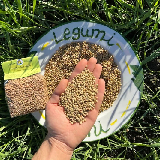 Legumi Lucani Lenticchie Verdi (piccole) - Terramia