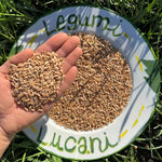 Lucanian Legumes Wholemeal Spelt