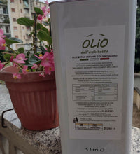 Olio dell'Architetto Olio extravergine d'oliva 100% Italiano, lattina da 5 litri - Terramia