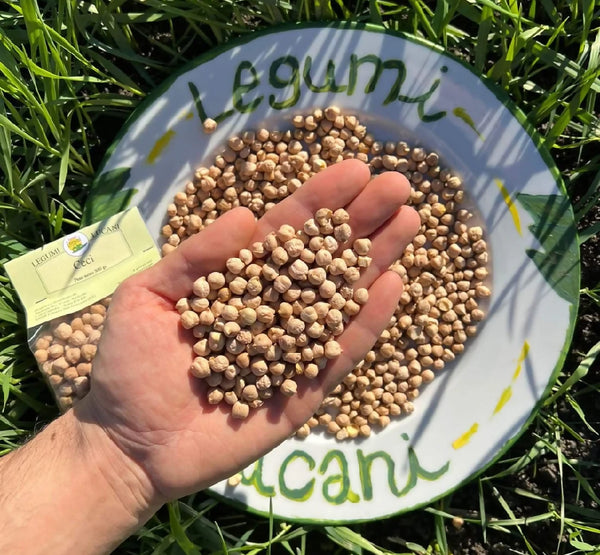 Lucanian Legumes Large Dry Chickpeas 