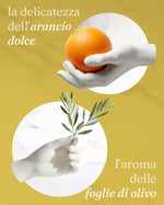 Amaro DiVino - Terramia