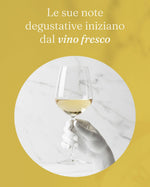 Amaro DiVino - Terramia