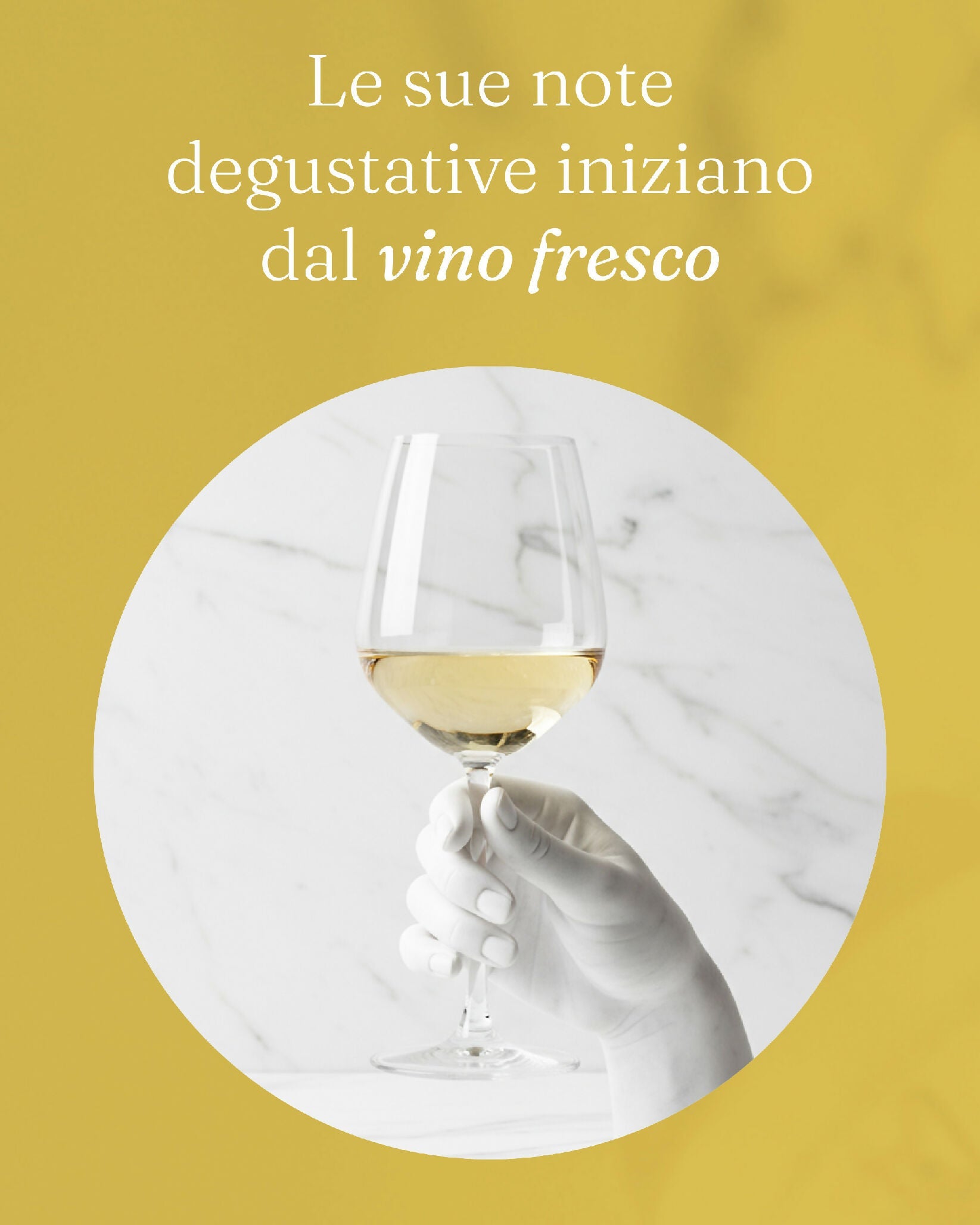 Amaro DiVino - Terramia