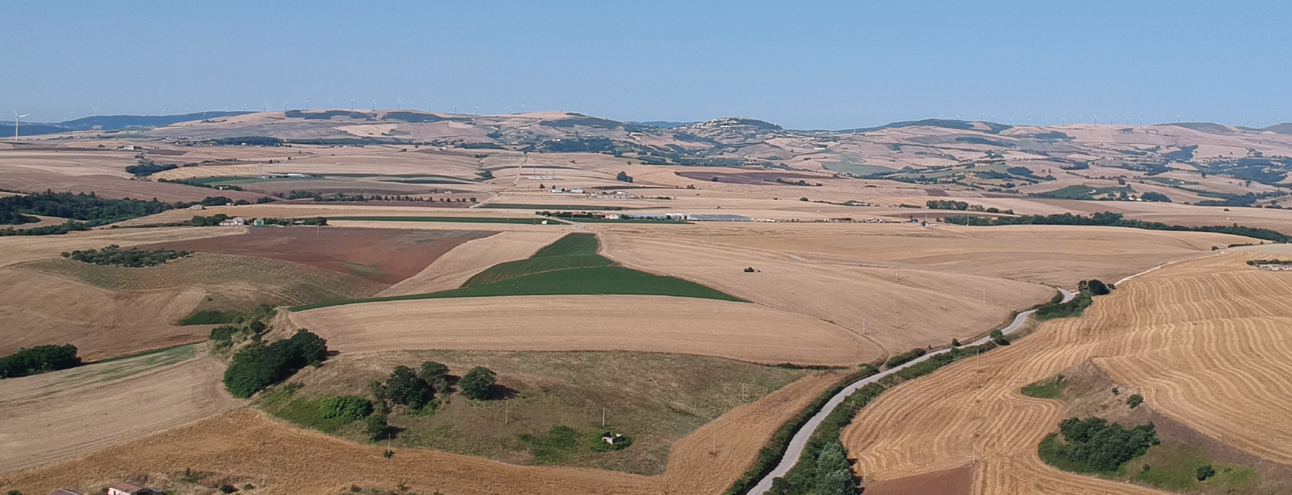 Alt immagine