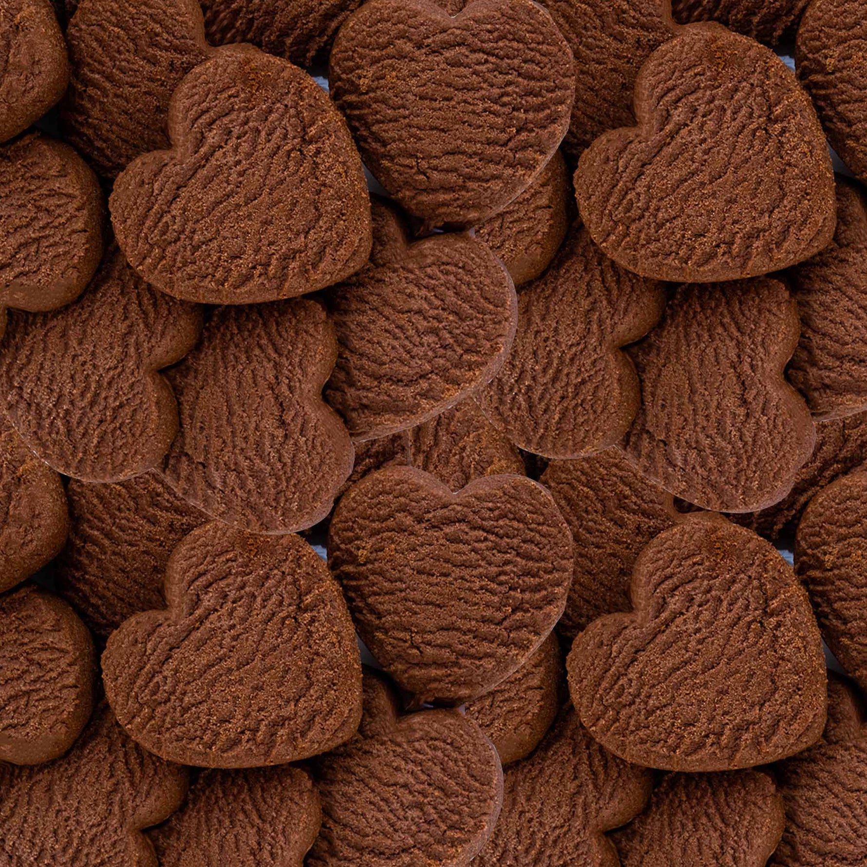Biscotti S/Glutine al Cacao e gocce di Cioccolato fondente BIO 200g - Terramia