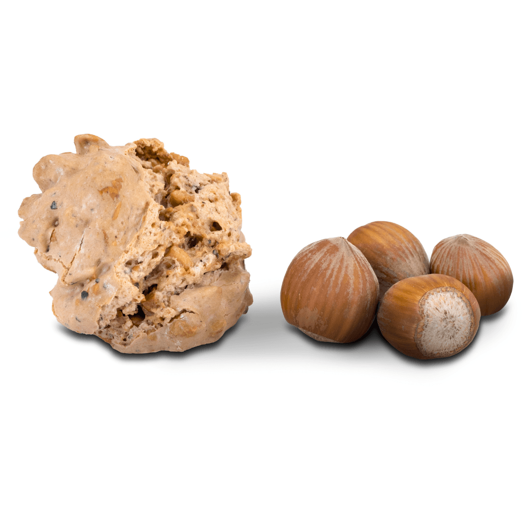 Brutti e Buoni Artigianali Piemontesi - Pasticceria Brignone - Terramia