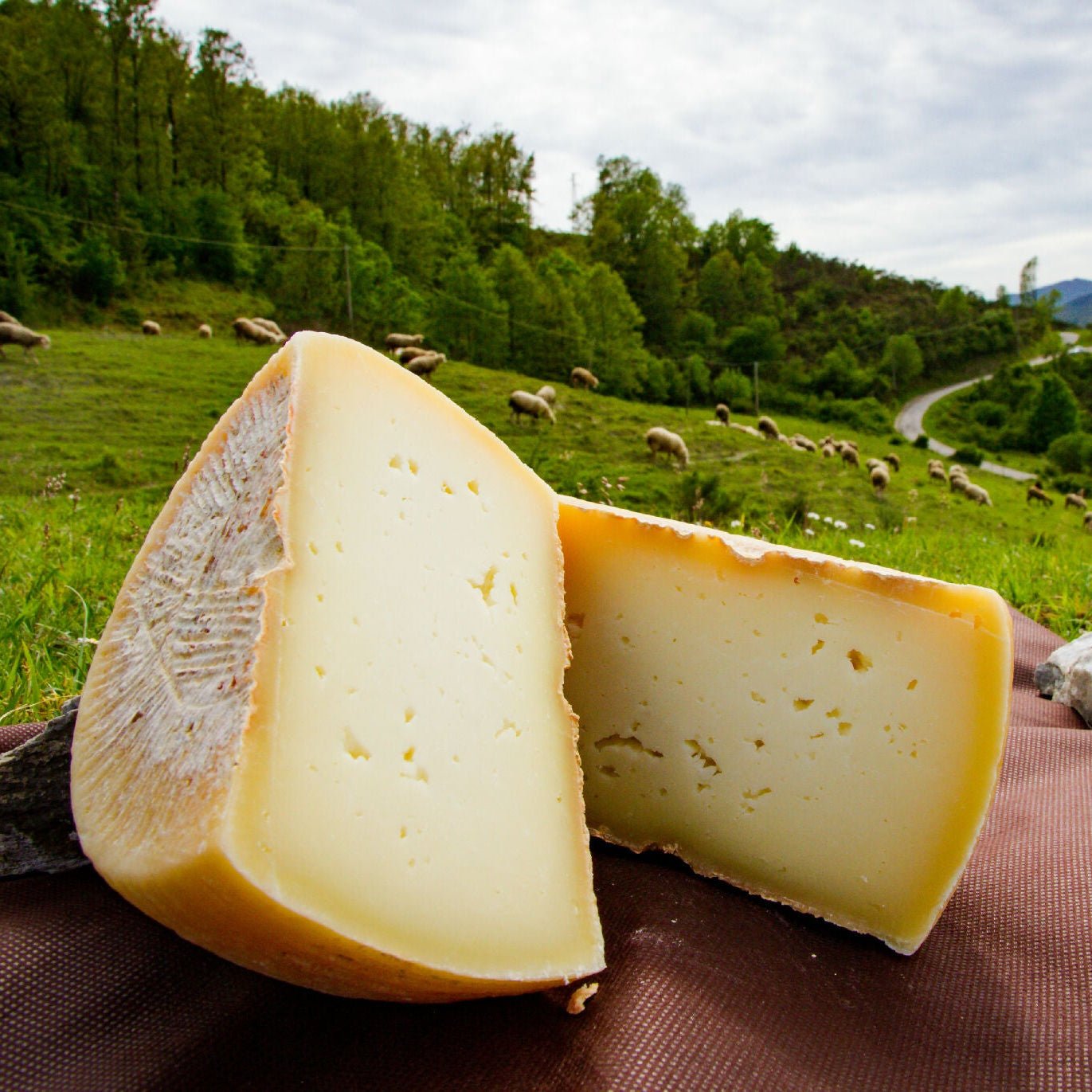 Canestrato del Pollino - Terramia