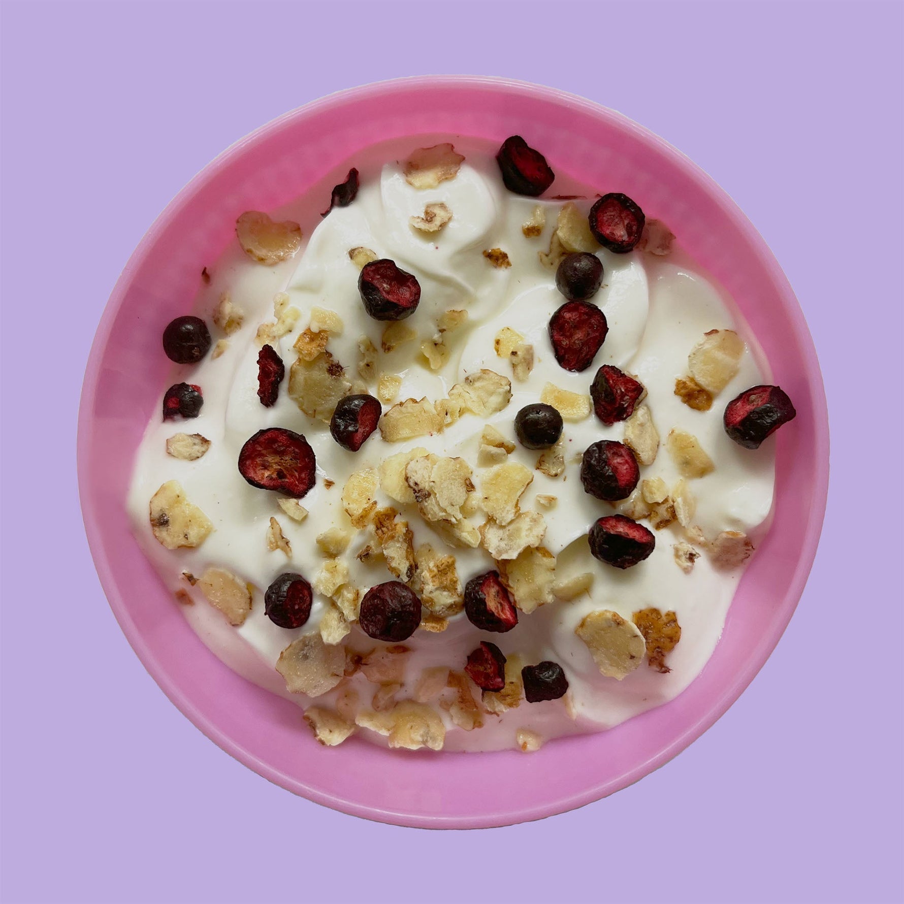 Chufa Flakes al Ribes nero BIO | Fiocchi da colazione 180g - Terramia