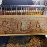 Lucan Gold Sulla Honey