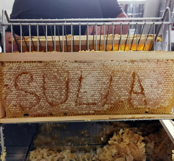 Lucan Gold Sulla Honey