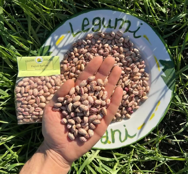 Lucanian legumes borlotti beans