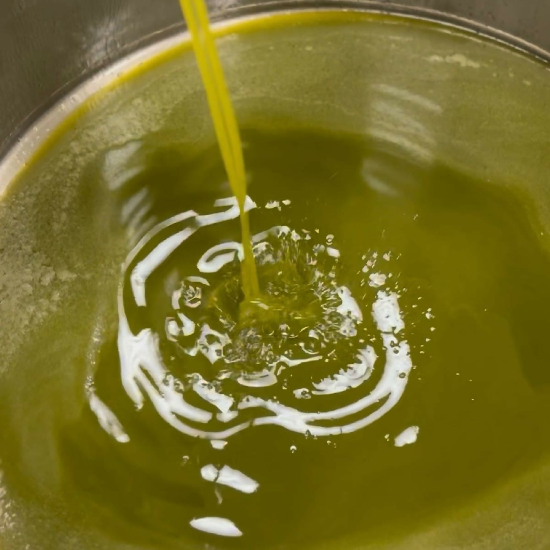 Olio Extravergine d'Oliva Biologico Calabria 5 Litri - Terramia