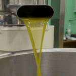 Olio Extravergine d'Oliva Biologico Calabria 5 Litri - Terramia