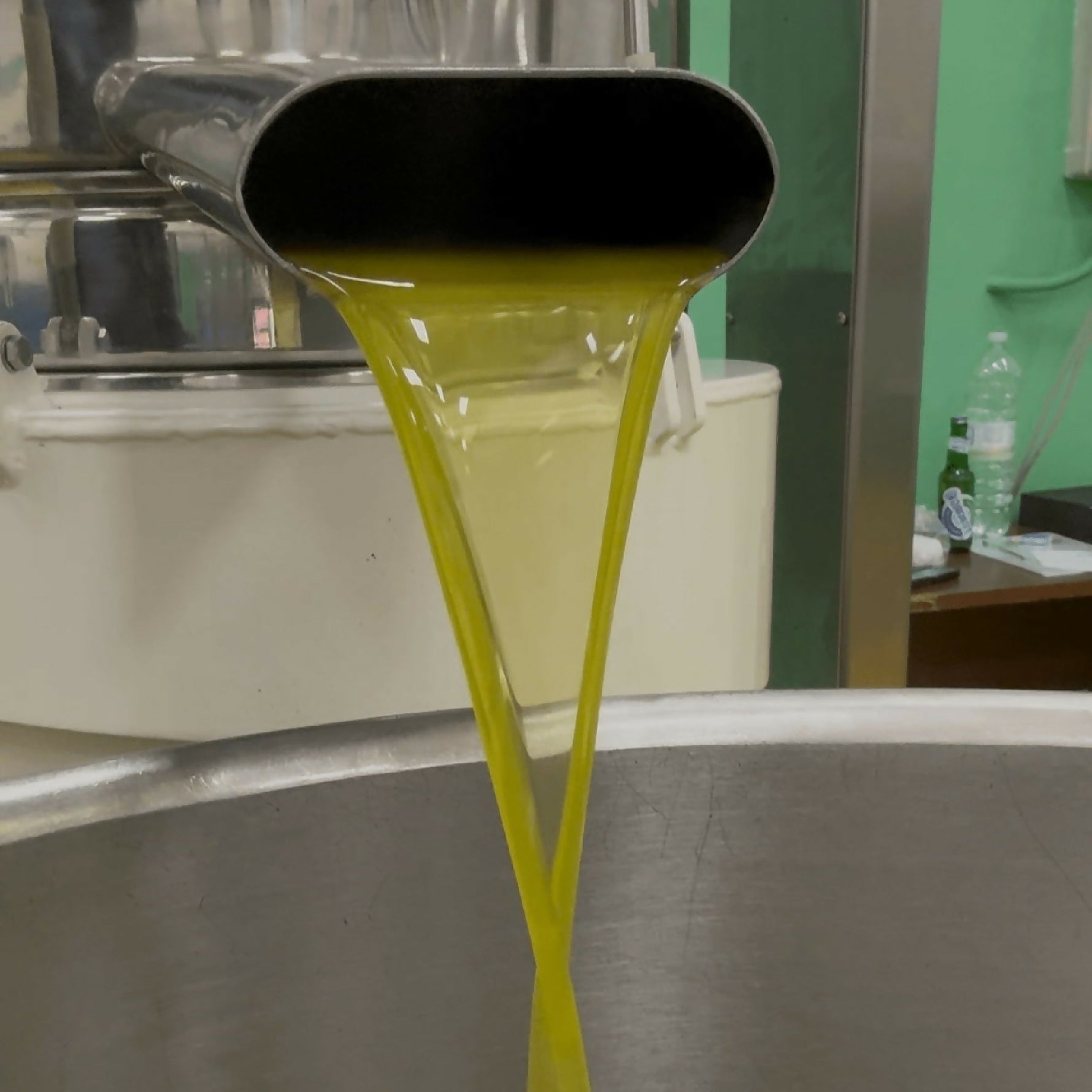 Olio Extravergine d'Oliva Biologico Calabria 5 Litri - Terramia