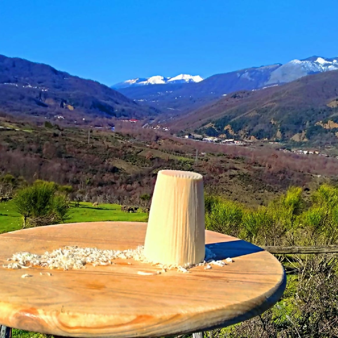 Ricotta Salata e Stagionata Artigianale della Basilicata 1 kg - Terramia