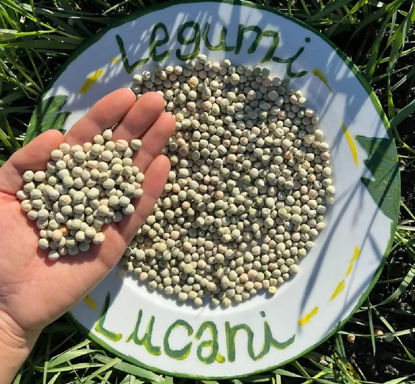 Lucanian Legumes Peas